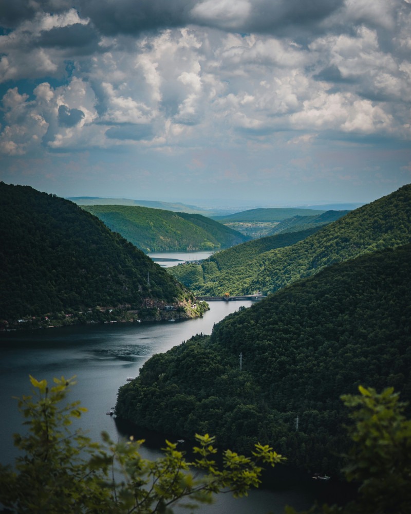 Tarnița Lake reservoir surrounded by pine forest
